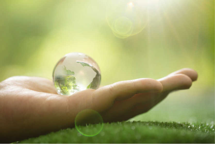 ecologia natuyser